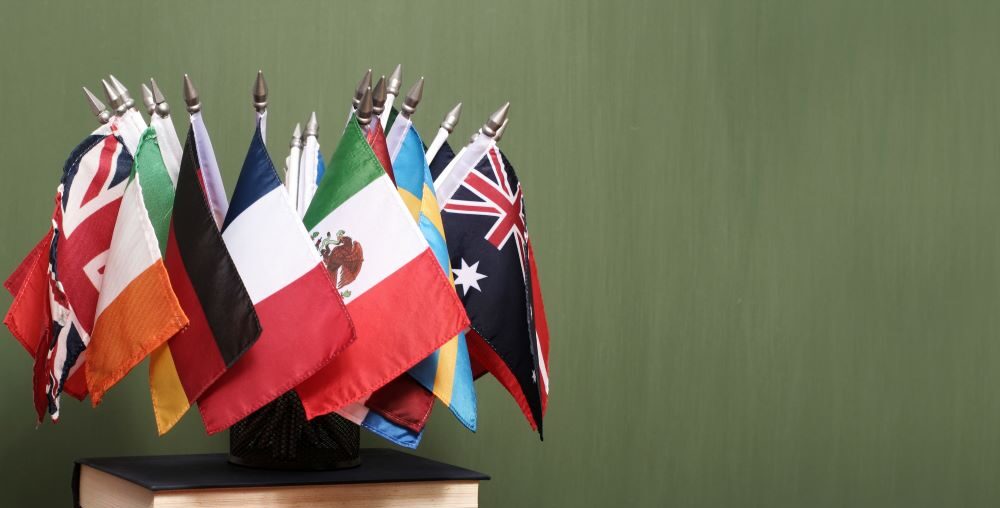 Visa Revocations Leave International College Students in Limbo, student visa, international students, deportation, immigration