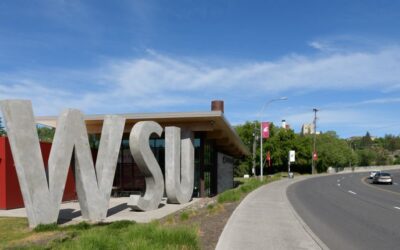 Washington State University Suspends Alpha Sigma Phi Fraternity for 5 Years for Hazing
