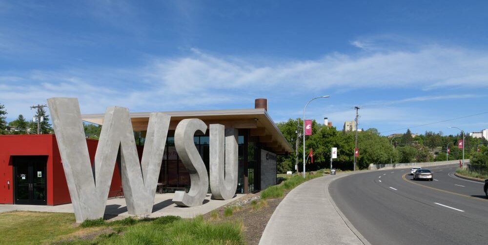 Washington State University Suspends Alpha Sigma Phi Fraternity for 5 Years for Hazing, WSU, student safety