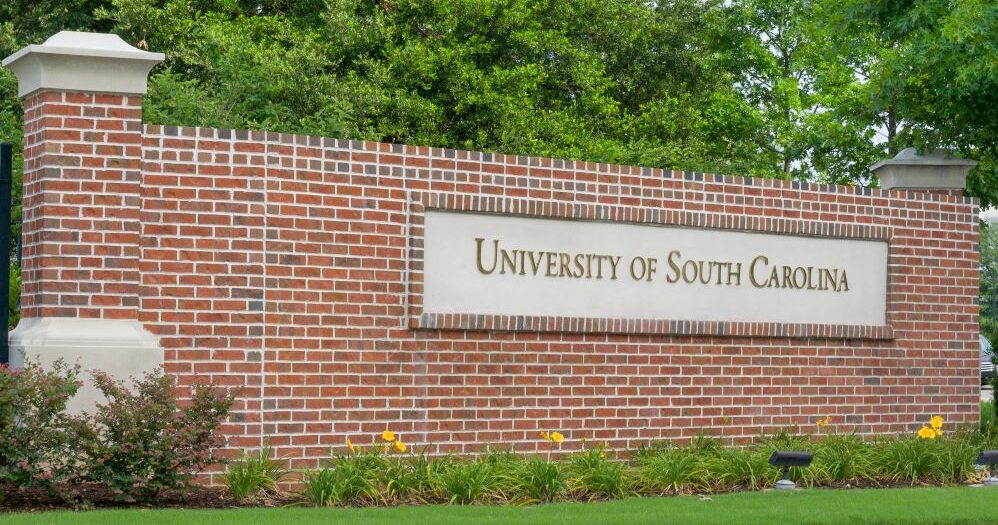 The University of South Carolina on Sunday was the victim of a swatting call that reported a false active shooter at Thomas Cooper Library. hoax, Villanova University, University of Tennessee at Chattanooga