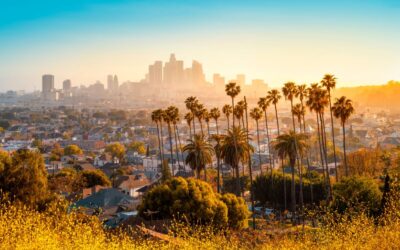 Teachers Rally in Los Angeles to Demand Stronger Protections Against Immigration Raids