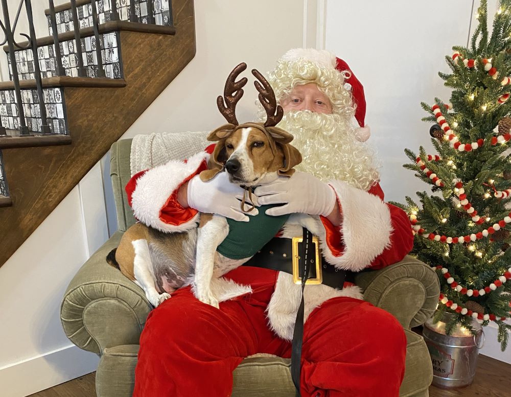 Meet Our Favorite Campus K9s: Celebrating Detection and Therapy Dogs in Schools, Colleges and Hospitals