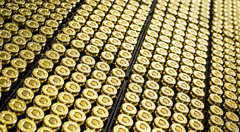 rollins college student