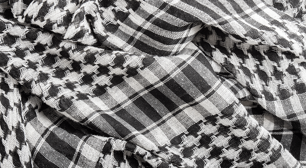 Palestinian Brown University Student