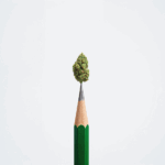 student substance use