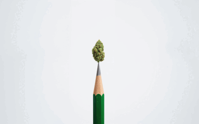 How to Adapt College Safety Plans to Shifting Student Substance Use Trends