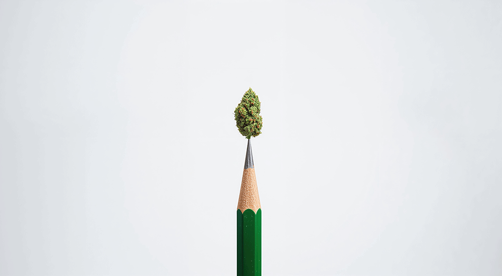 student substance use