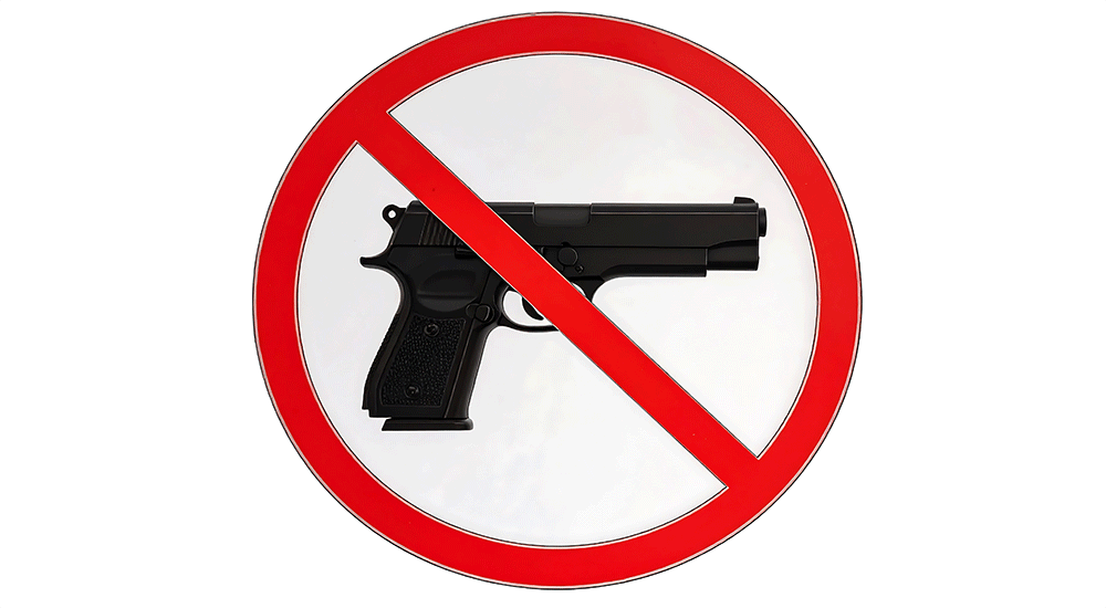 gun violence statistics